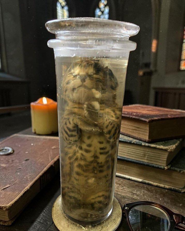 Striped specimen in a tall glass jar beside a lit candle and old books.