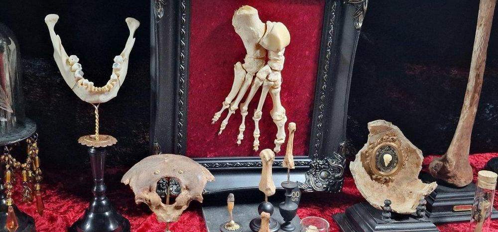 Skeleton foot on red velvet in a black frame