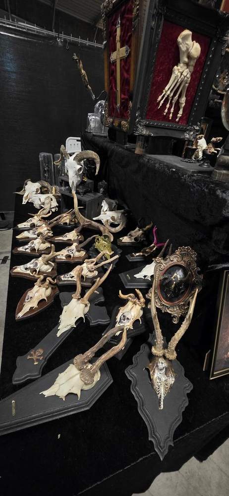 Table of antler mounts and an ornate mirror