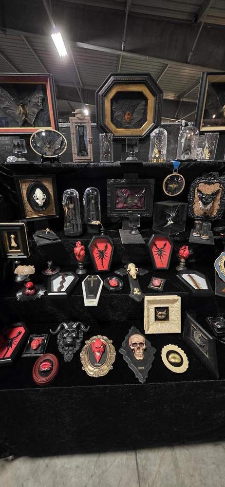 Shelf of coffin plaques and skull cameos